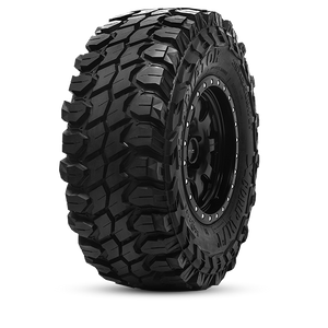 XComp M/T